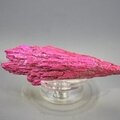 Neon Pink Aura Kyanite ~68mm