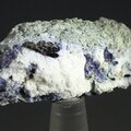 Neptunite & Benitoite Healing Mineral ~35mm