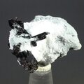 Neptunite Healing Mineral ~25mm