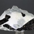 Neptunite Healing Mineral ~37mm
