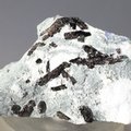Neptunite Healing Mineral ~42mm