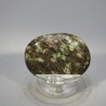 Nunderite Polished Flat Tumblestone ~37mm
