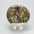 Nunderite Polished Flat Tumblestone ~42mm