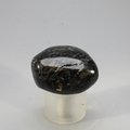 Nuummite Tumblestone (Extra Grade) ~29mm
