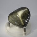 Obsidian Sheen-Gold Polished Stone ~41mm