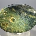 Ocean Jasper Palmstone (Extra Grade) ~70x50mm