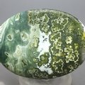 Ocean Jasper Palmstone (Extra Grade) ~70x50mm