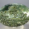 Ocean Jasper Palmstone (Extra Grade) ~70x50mm
