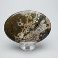 Ocean Jasper Palmstone (Extra Grade) ~70x50mm