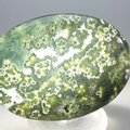 Ocean Jasper Palmstone (Extra Grade) ~70x50mm