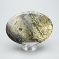 Ocean Jasper Palmstone (Extra Grade) ~70x50mm