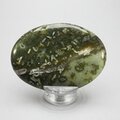 Ocean Jasper Palmstone (Extra Grade) ~70x50mm