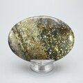 Ocean Jasper Palmstone (Extra Grade) ~70x50mm
