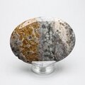Ocean Jasper Palmstone (Extra Grade) ~70x50mm