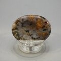 Ocean Jasper Thumbstone(Extra Grade) ~40x30mm