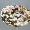 Ocean Jasper Thumbstone (Extra Grade) ~40mm