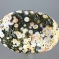 Ocean Jasper Thumbstone (Extra Grade) ~40mm