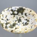 Ocean Jasper Thumbstone (Extra Grade) ~40mm