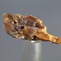 Orange Kyanite Healing Crystal ~30mm