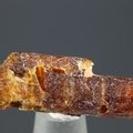 Orange Kyanite Healing Crystal ~30mm