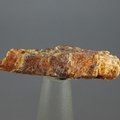 Orange Kyanite Healing Crystal ~38mm