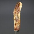 Orange Kyanite Healing Crystal ~50mm