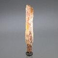 Orange Kyanite Healing Crystal ~65mm