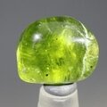 Peridot Healing Crystal (Special Grade) ~16mm