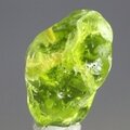 Peridot Healing Crystal (Special Grade) ~20mm
