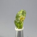 Peridot Healing Crystal (Special Grade) ~25mm