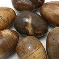 Petrified Wood Crystal Egg ~48mm
