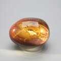 Petrified Wood Extra Large Polished stone ~49mm