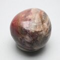 Petrified Wood Extra Large Tumblestone ~49mm