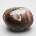 Petrified Wood Extra Large Polished stone ~53mm