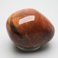 Petrified Wood Extra Large Tumblestone ~54mm