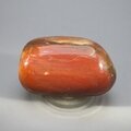 Petrified Wood Extra Large Tumblestone ~60mm