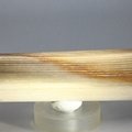 Petrified Wood Polished Tile ~96mm