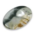 Picasso Jasper Thumb Stone ~40mm