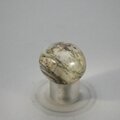 Picasso Jasper Tumblestone ~25mm