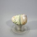 Picasso Jasper Tumblestone ~30mm