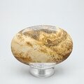 Picture Jasper Palmstone (Extra Grade)  ~58 x 38mm