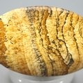 Picture Jasper Palmstone (Extra Grade)  ~60 x 40mm