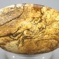 Picture Jasper Palmstone (Extra Grade)  ~60 x 40mm