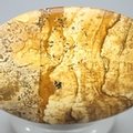 Picture Jasper Palmstone (Extra Grade)  ~60 x 40mm