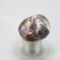 Pietersite Tumblestone ~30mm