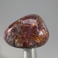 Pietersite Tumblestone ~31mm