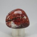 Pietersite Tumblestone ~33mm