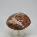 Pietersite Tumblestone ~35mm