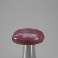 Pink Sapphire Tumblestone ~22mm