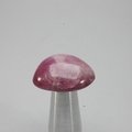 Pink Sapphire Tumblestone ~23mm